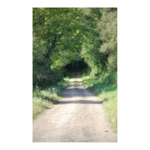 Bossen- of vuilweg aan de landzijde