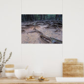 Bossen op Mt. Kurama Poster (Keuken)