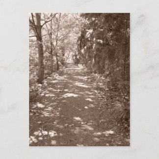 Bossen pad—Sepia Briefkaart