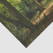 Bossen Tissuepapier (Detail)