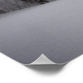 Bossen-Uitzicht Poster (Hoek)