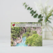 Bossen van beuken van de Oudheid en de Primeval -  Briefkaart (Staand voorkant)