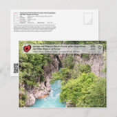 Bossen van beuken van de Oudheid en de Primeval -  Briefkaart (Voorkant / Achterkant)