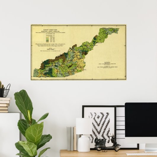 Bossen van de Westerne North CarolinaPanoramic Map Poster (Thuiskantoor)
