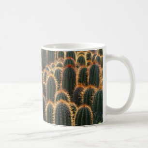 Bossen van Ferocactus, mok