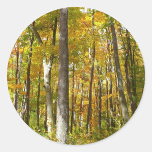 Bossen van geelbladeren Autumn Landschap Ronde Sticker