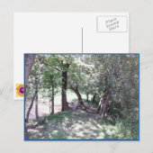 Bossen van Pond Photo Briefkaart (Voorkant / Achterkant)