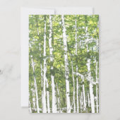 Bossen voor de groene en de witte zomer kaart (Achterkant)