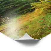 Bossen voor sproeiers foto afdruk (Hoek)