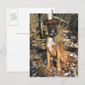 Bossen Walk Boxer Briefkaart (Voorkant / Achterkant)