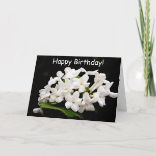 Bossen witte bloemen kaart