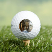 Bossneeuw Scène ssf gbcna Golfballen (Insitu Shirt)