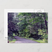 Bossnijpad - briefkaart (Voorkant / Achterkant)