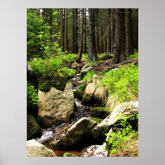 bosstroom poster (Voorkant)