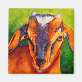 Bossy Boots - Baby Geitenmagneet Magneet (Voorkant)