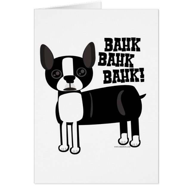 Boston Accent Terrier Fun (Voorkant)