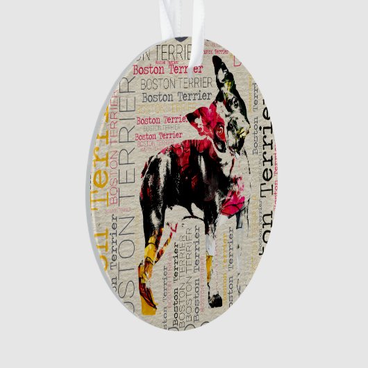 Boston adorable Terrier (devant)