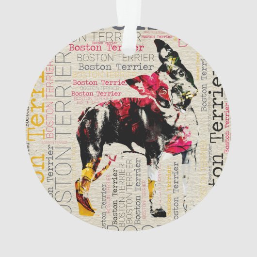 Boston adorable Terrier (dos)