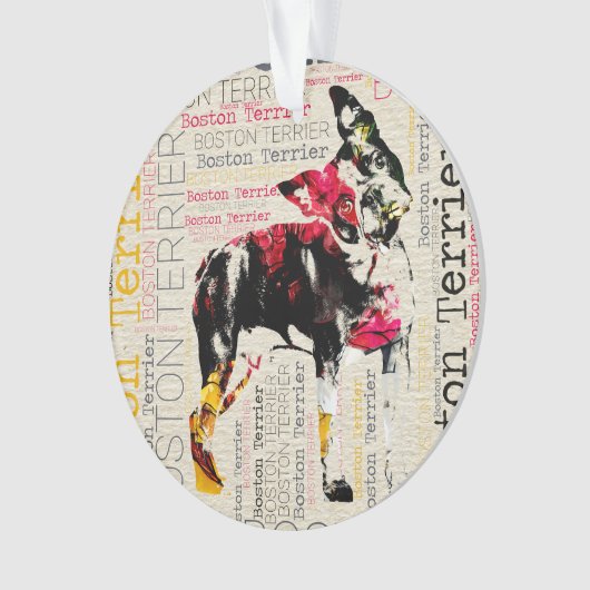 Boston adorable Terrier (devant)