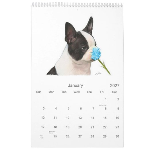 Boston Babies Kalender (Jan 2027)