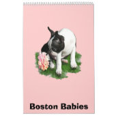 Boston Babies Kalender (Hoes)