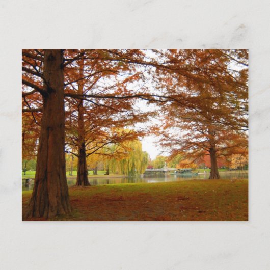 Boston Briefkaart (Voorkant)