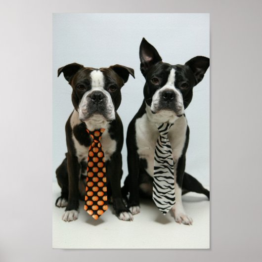 Boston broers ポ タ ー poster (Voorkant)