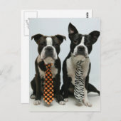 Boston Broers Briefkaarten (Voorkant / Achterkant)