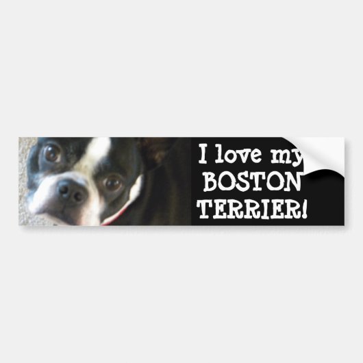 BOSTON-bumpersticker Bumpersticker (Voorkant)