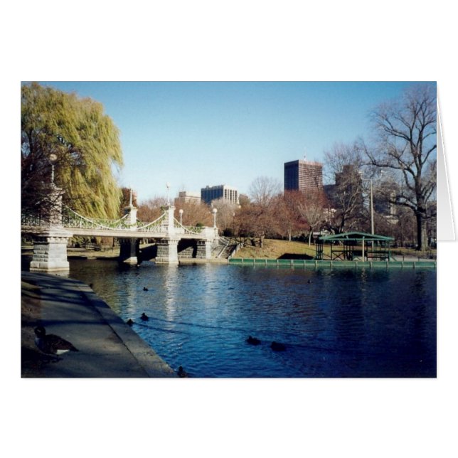 boston common (Voorkant Horizontaal)