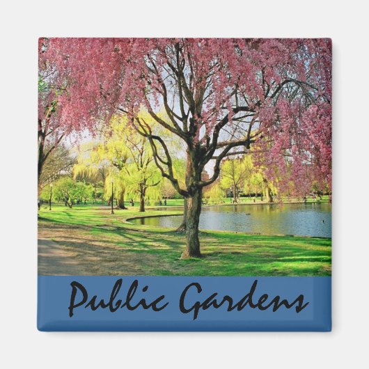 Boston Common Magnet Magneet (Voorkant)