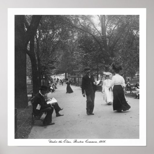  Boston Common, Under the Elms, Verenigde Staten Poster (Voorkant)