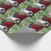 Boston dooder cadeaupapier (Hoek)