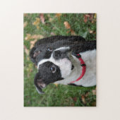 Boston dooder legpuzzel (Verticaal)