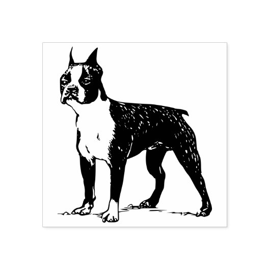 Boston dooder rubberstempel (Afrduk)