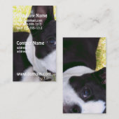 boston-doodsbang-1 visitekaartje (Voorkant / Achterkant)