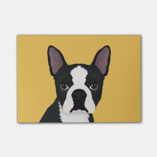 boston doodse cartoon post-it® notes