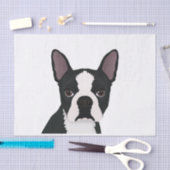 boston doodse cartoon tissuepapier (Craft)