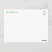 Boston Gardens, carte postale du Massachusetts (Dos)