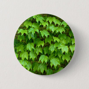 Boston Ivy Badge Ronde Button 5,7 Cm