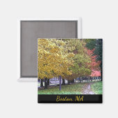 Boston, Massachusetts Herfst Foliage Comic Art Magneet (Voorkant / Achterkant)
