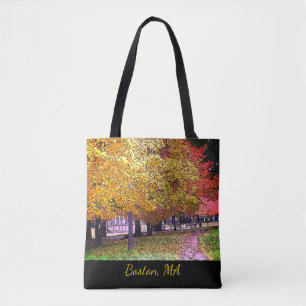 Boston, Massachusetts Herfst Foliage Draagtas