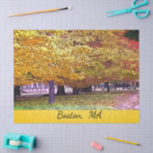 Boston, Massachusetts Herfst Foliage Tissuepapier (Craft)