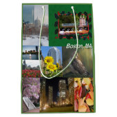 Boston, Massachusetts Medium Cadeauzakje (Voorkant)