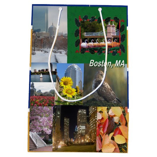 Boston, Massachusetts Medium Cadeauzakje (Achterkant)