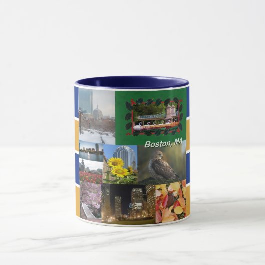 Boston, Massachusetts Mok (Midden)