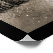 Boston & NY Baseball Foto 1904 Poster (Hoek)