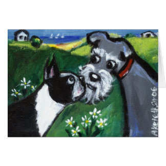 boston ontmoet schnauzer