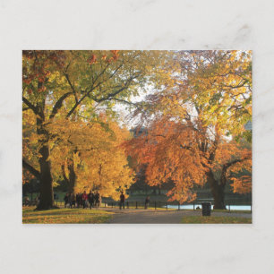 Boston Public Garden Autumn Briefkaart