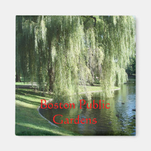 Boston Public Garden Magnet Magneet